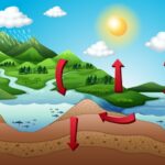 Hidrología: Fundamentos y aplicaciones del ciclo del agua