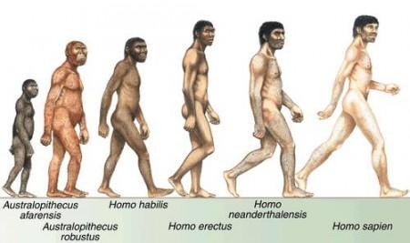 Evolución del hombre: etapas y características históricas