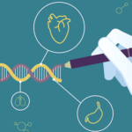 Fundamentos y aplicaciones de la genética: una visión actualizada