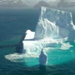 Icebergs: formación y características de un fenómeno fascinante