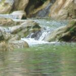 Características y usos de los ríos: un análisis detallado