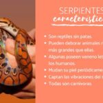 Las serpientes venenosas: guía completa de especies y características